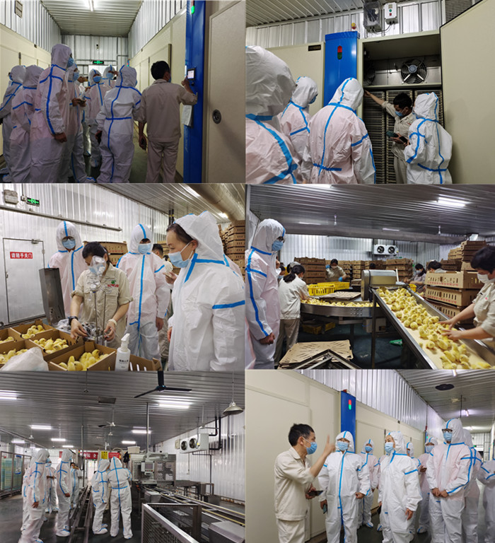 KS凯时·(中国区)官方网站