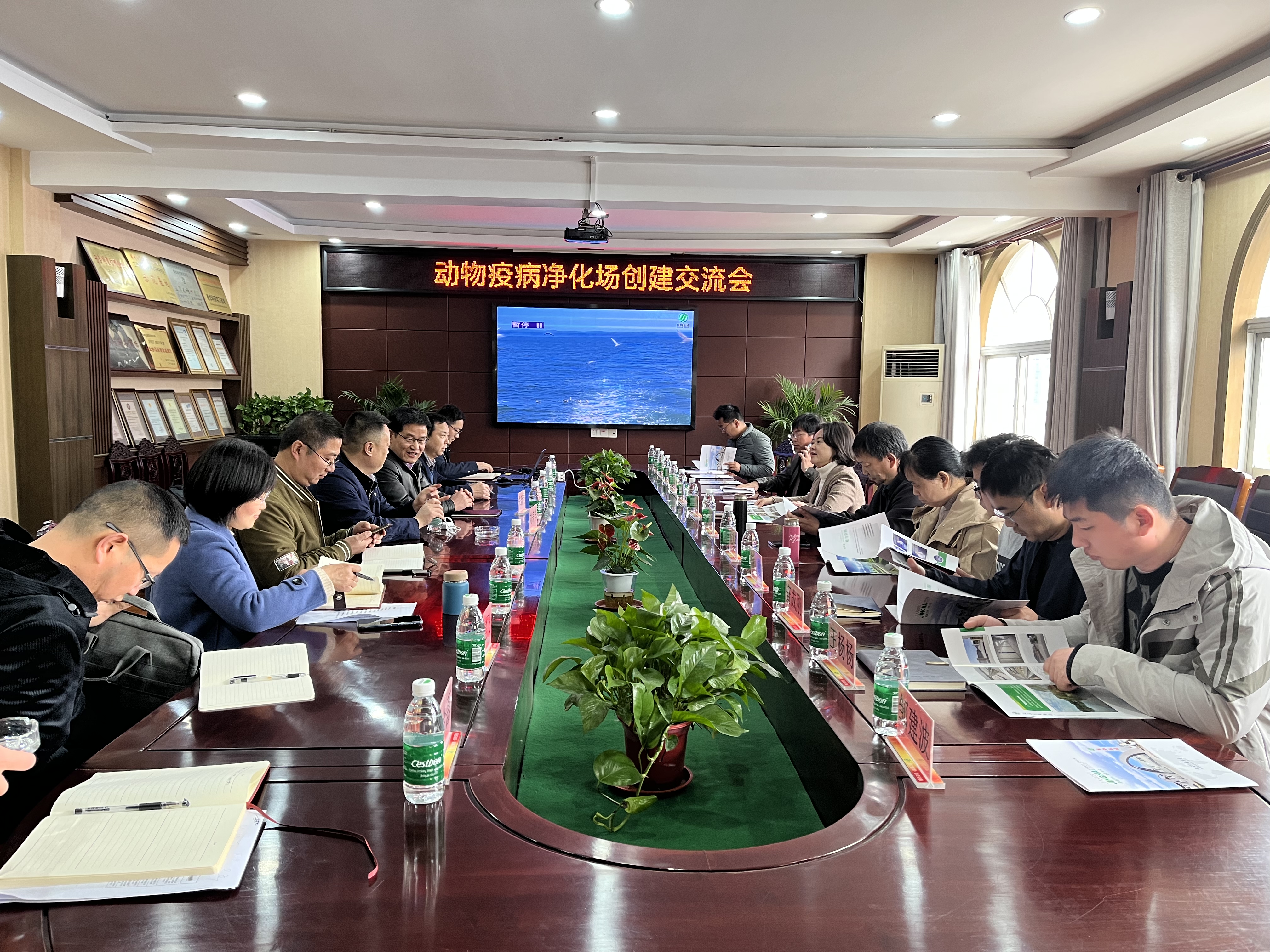 KS凯时·(中国区)官方网站