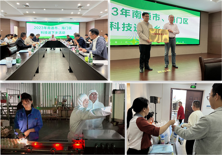KS凯时·(中国区)官方网站