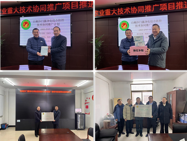 KS凯时·(中国区)官方网站