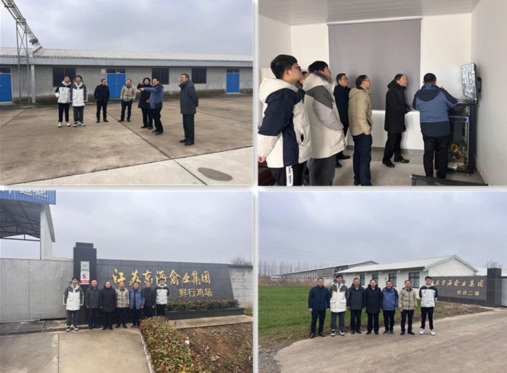 KS凯时·(中国区)官方网站